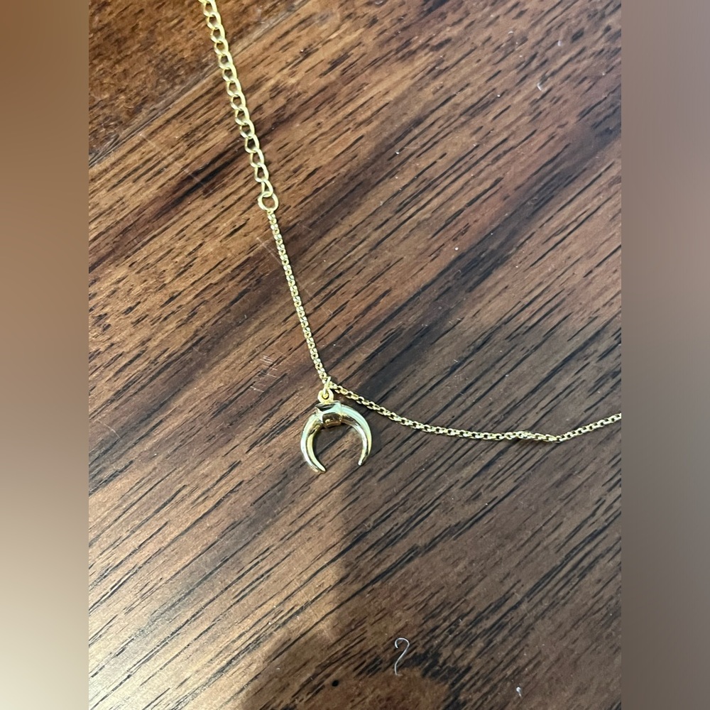 Dainty gold moon necklace